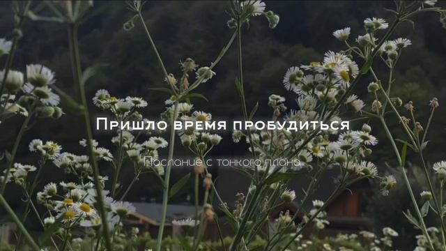 Ченнелинг-послание|В твоё сердце наконец-то приходит весна
