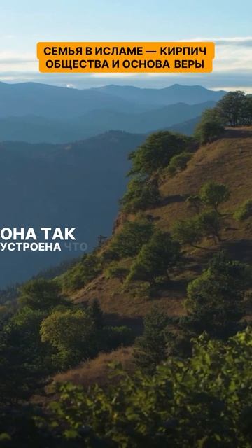 Семья в исламе — кирпич общества и основа веры. Теперь в УМРУ и ХАДЖ можно летать ещё удобнее