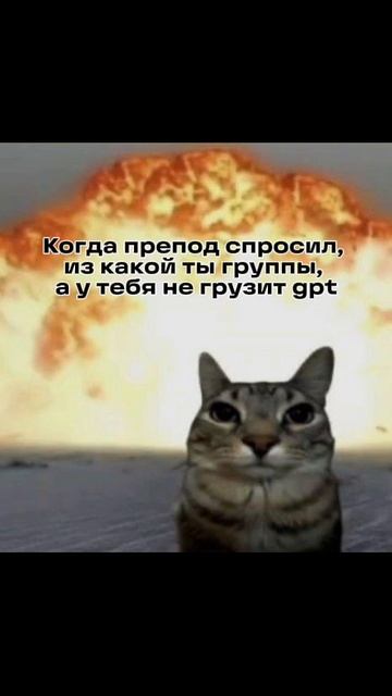 Знакомо?) #итмо #юмор #университет #пин #учеба #тренды #itmo
