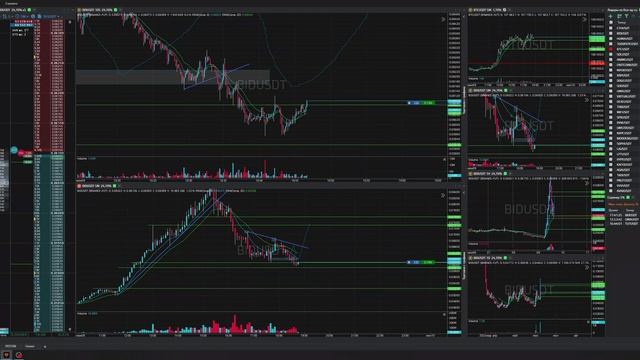 61-Bidusdt-Long-Profit-09-06-2025-18-46-42