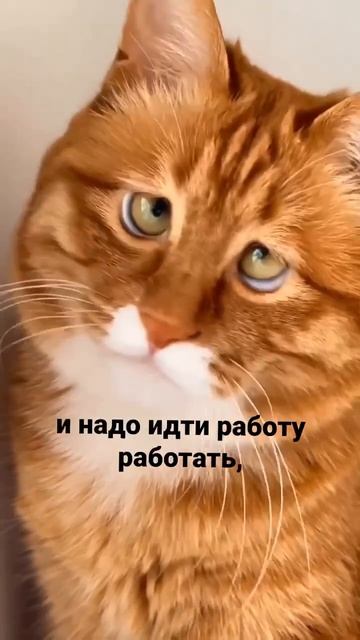 Работу работаю.
