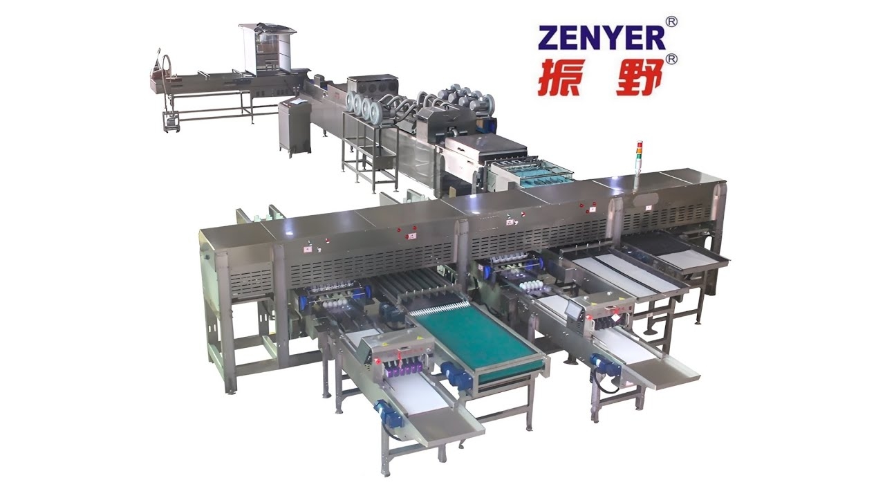 Zenyer 303A egg processing line 20000 eggs/hour