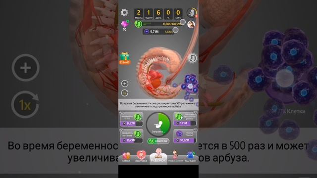 играем idle 9 months с телефона (1)