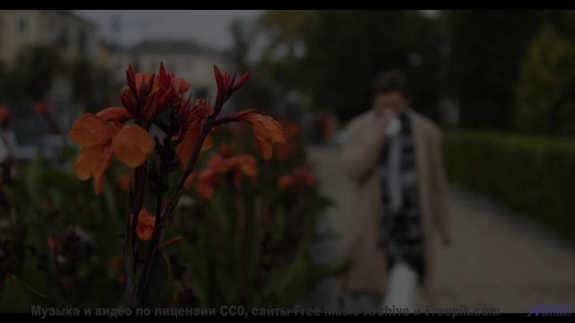Камера и трек сливаются в безупречный поток красоты - Sleep -- Double-F the King -- Discovery