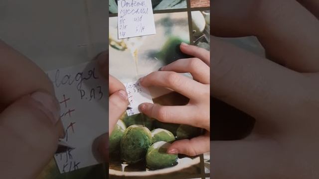 проверяем проверочные работы (контрольные)