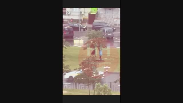 Просто украли дерево в Некрасовке