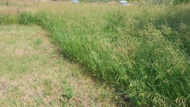 ИЗ ГОРОДА В ДЕРЕВНЮ. ХРОНИКА ДНЯ.