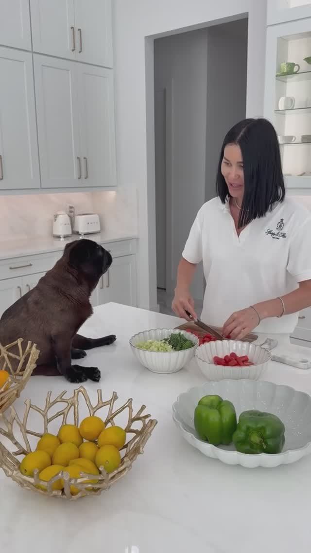 Многие спрашивают, как она у меня такая спокойная 🐾