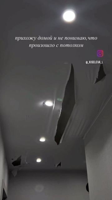Ещё больше котиков в канале https://t.me/cotorai