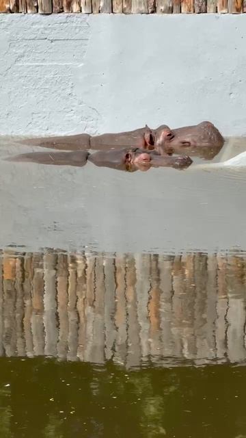 Мы лежим