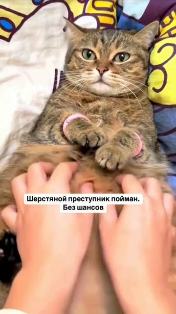 теперь никуда не денется 😍