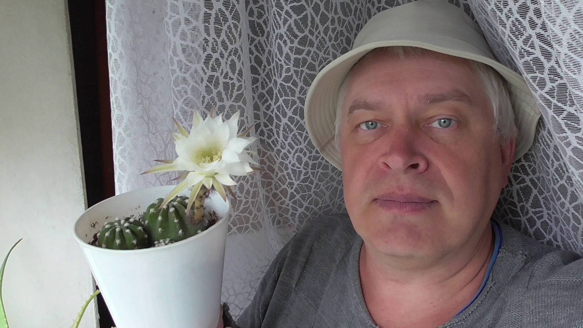 В этот день цветёт кактус