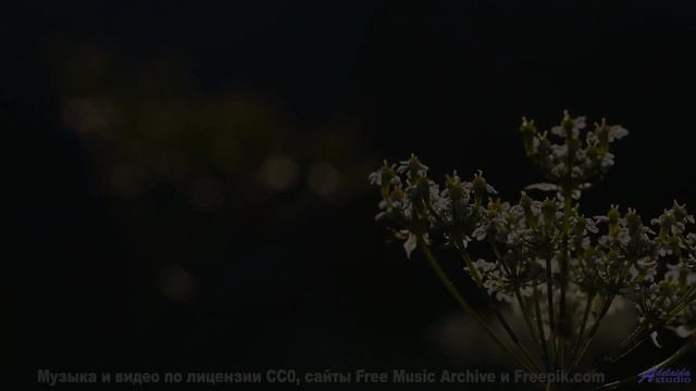 Путешествие, музыка и вы - что может быть лучше - The Empty Nesters -- PLANET WARDO -- Single Slices