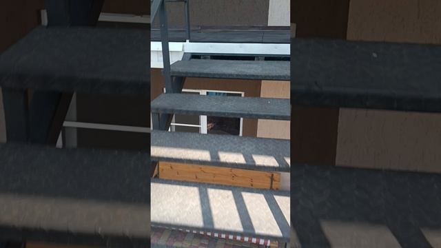 1000207448.mp4