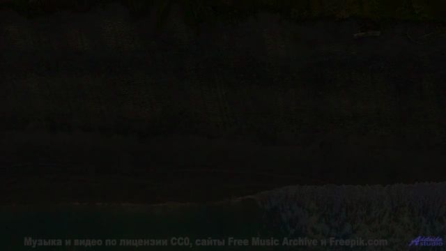 Музыка качает леса, словно волны на море - Colin L High As Hell -- Colin Langenus -- Langenius High
