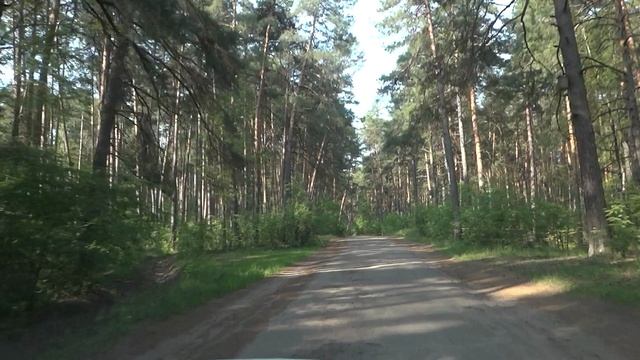 002-striginskiy-bor