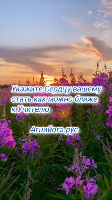 #агнийога #живая_этика #мудрость_великих_учителей