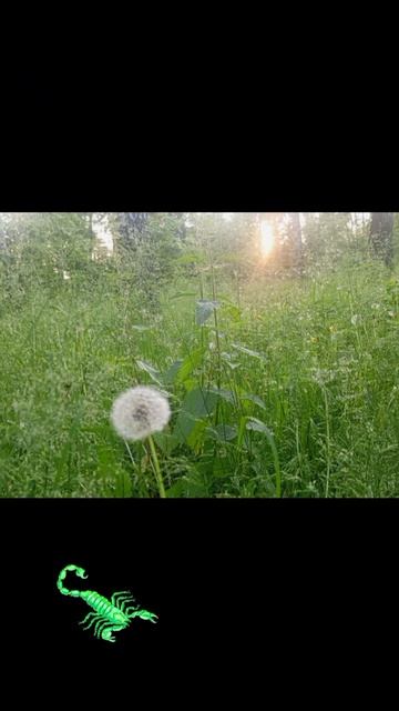 моменты фотографии
