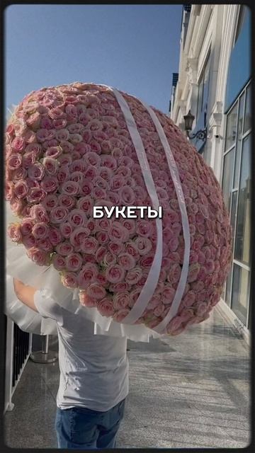 Нарциссы…