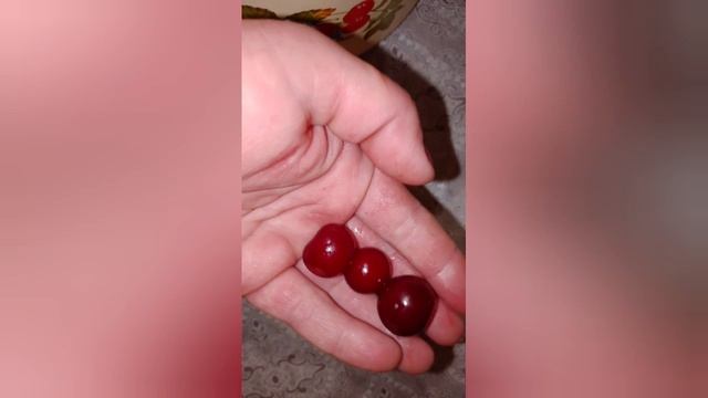 вишнёвый компот с каркаде и мятой.