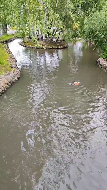 Классное место для прогулок 😍