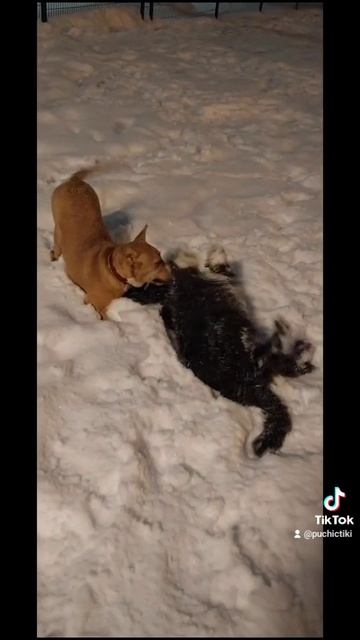 1000023408.mp4