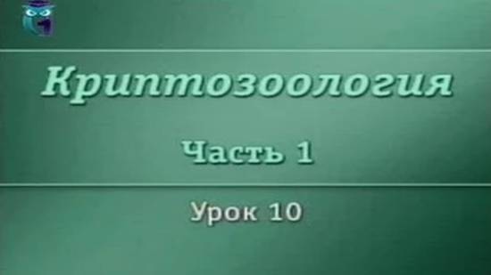 Криптозоология # 1.10. Невероятные австралийские чудовища