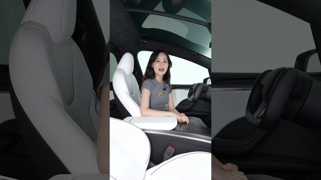 Инструкция Tesla Model X
