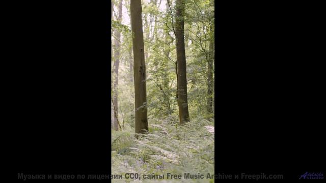 Музыка заставляет забыть обо всём вокруг - Beat 7 -- Kirk Osamayo -- Season Two (ORANGE)