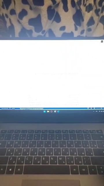 1000019203.mp4