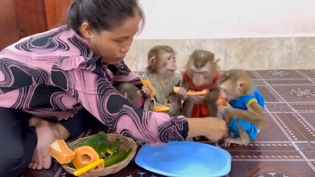 Обезьянки 4 ЛАПУСЕЧКИ кричат орут кушать зовут  маму Едят быстро сьедают
