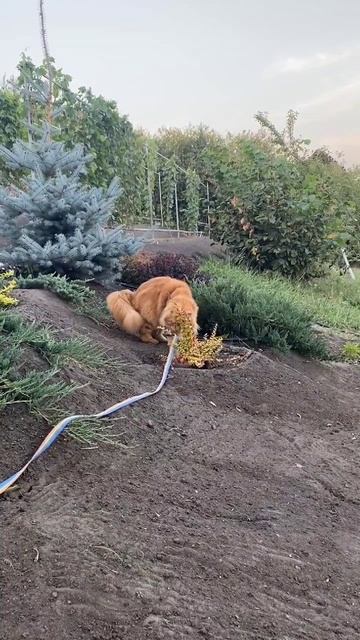 Добытчик часть 2