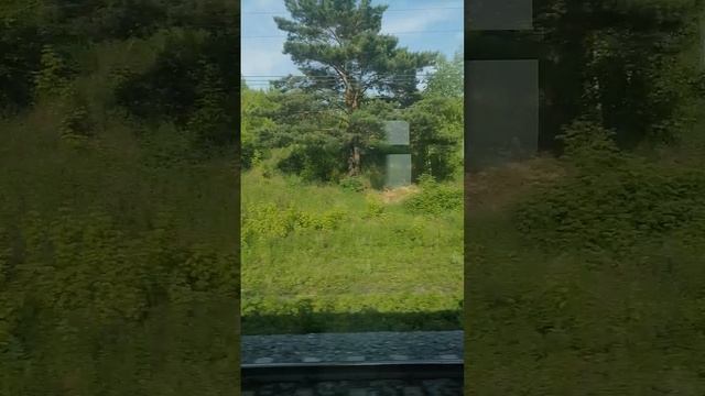 Если остался до конца поставь ❤️