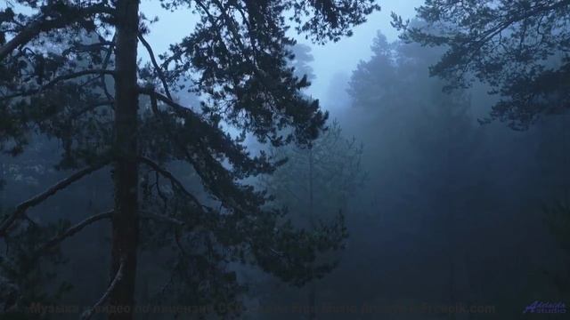 Это видео - как глоток счастья, который нужен каждому! - Ooga -- Kirk Osamayo -- Season Two (BLUE)