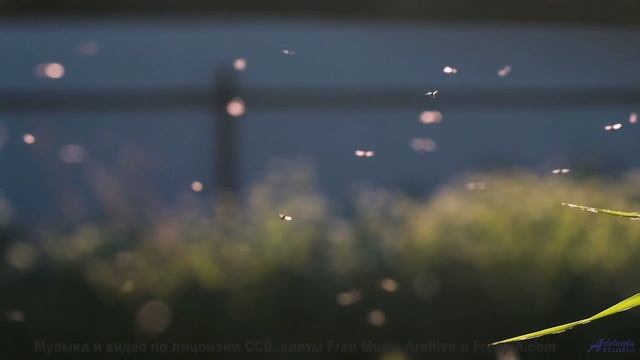 Что произойдет, если смотреть это видео ежедневно - Fall For You -- Double-F the King -- Fillins