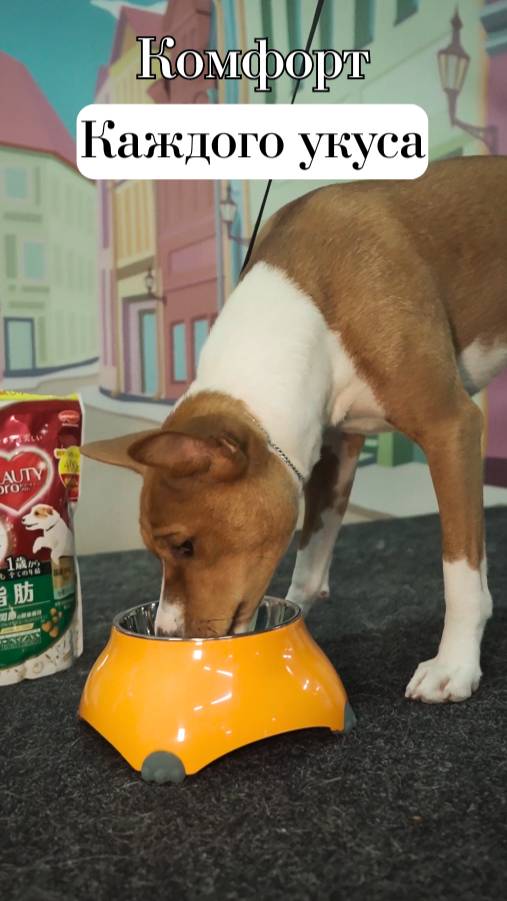 🐶Специально для собак с длинными ушами!