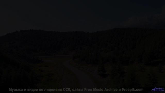 Почему этот лес НАВОДИТ УЖАС - When-My-Eyes-Are-Closed -- Ketsa -- Dimensions