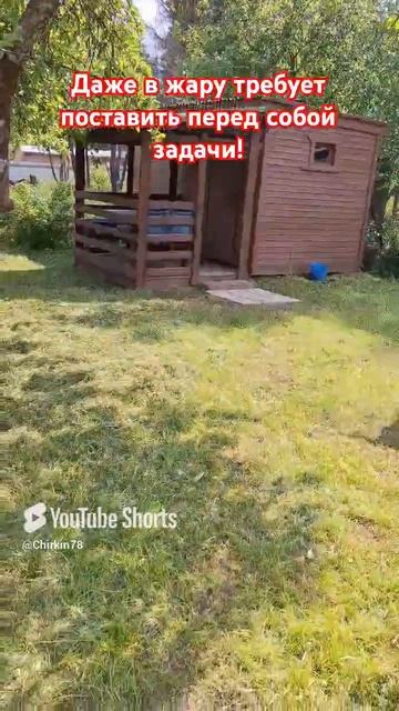 А ваша собака чем занимается в такую жару?