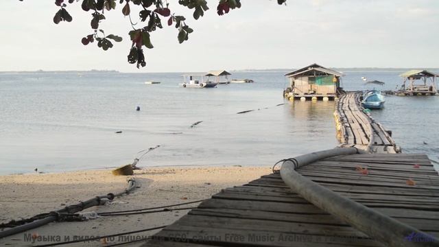 Музыка уносит туда, где нет границ - Is this fruit edible -- Soft and Furious -- You know where to