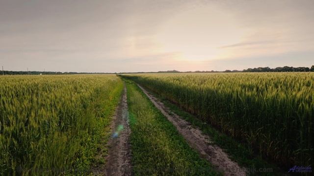 Включите этот трек - и каждый километр станет историей вашей любви - Constructivism -- A. A. Aalto -