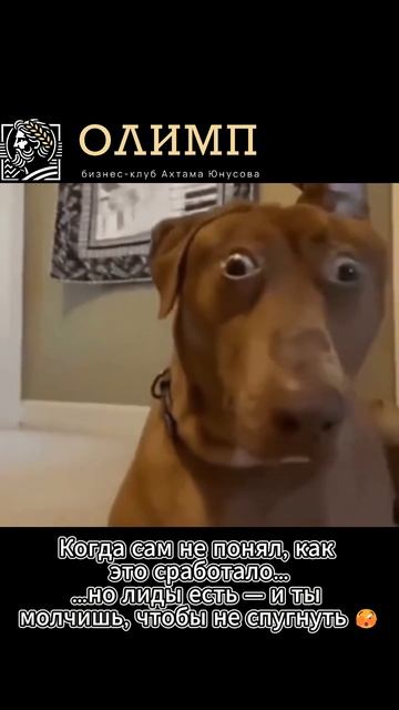 Когда появились лиды, а ты не знаешь - откуда!