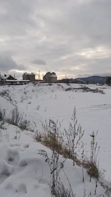 1000104844.mp4