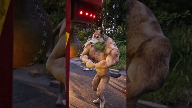 БЕЛЯШИ