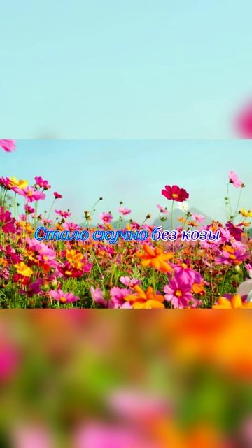 Логопедическая песенка "зы-зе-зу-за"