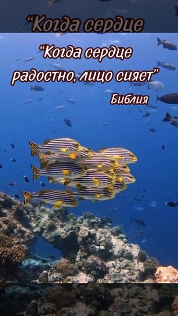 VID_20250614_142829_694.mp4