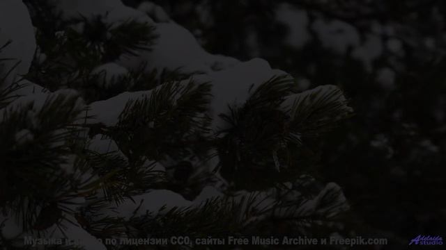 Музыка и виды вместе создают эффект погружения - Too Many Roads -- One Man Book -- Brand New Sequenc