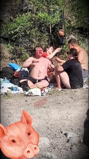 Как выглядит купальный сезон настоящий свинорылых