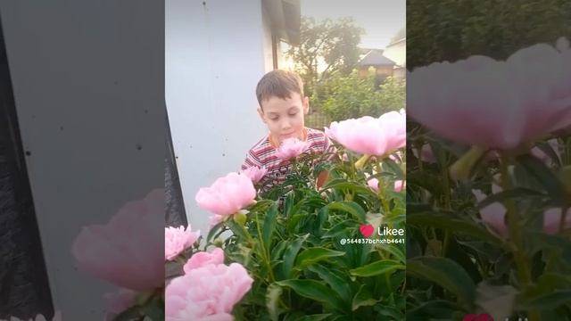 Like_7515503568723716358.mp4