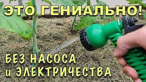 Автополив из бочки без насоса и электричества — простой способ забыть о лейках навсегда