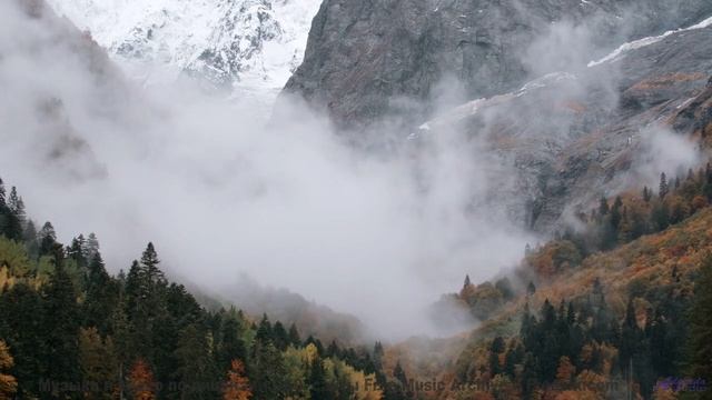 Звуки, программирующие ваше будущее - наука или предопределение - P Flunked Funk -- Podington Bear -